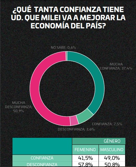 "La política en shock": según encuesta, el 50,8% responsabiliza a Milei de lo mal que está la economía argentina imagen-4
