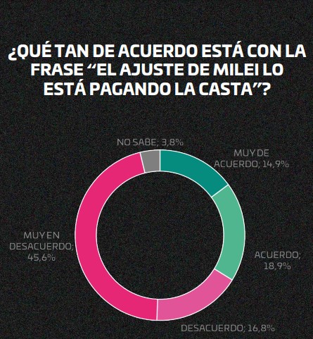 "La política en shock": según encuesta, el 50,8% responsabiliza a Milei de lo mal que está la economía argentina imagen-8