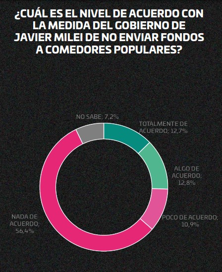 "La política en shock": según encuesta, el 50,8% responsabiliza a Milei de lo mal que está la economía argentina imagen-14