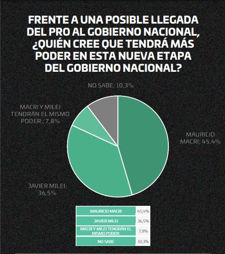 "La política en shock": según encuesta, el 50,8% responsabiliza a Milei de lo mal que está la economía argentina imagen-18