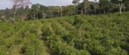 Emergencia Agropecuaria en Misiones: "Estamos a la espera de que se definan los fondos", dijo el Ministro del Agro imagen-6