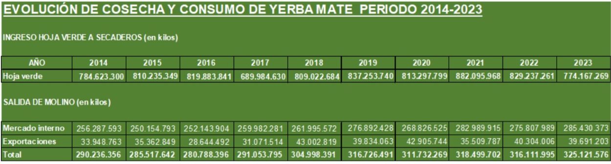 Récord histórico: la yerba mate confirmó su buen momento y el consumo superó los 325 millones de kilos en 2023 imagen-2