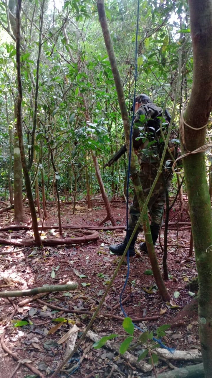 Frustraron a un cazador en Península: lo sorprendieron in fraganti en operativo de guardaparques imagen-1