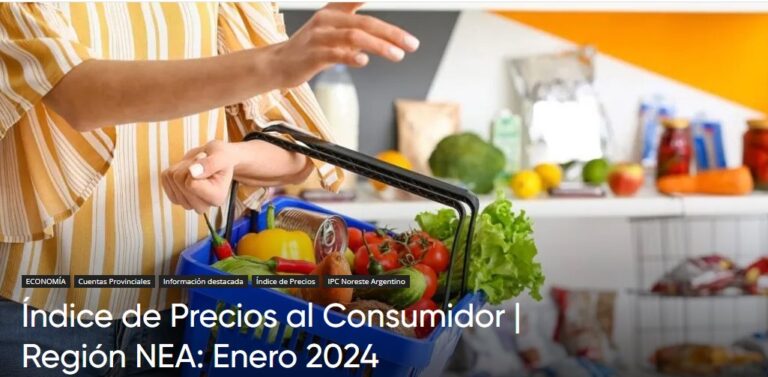 En enero 2024 la inflación en el NEA fue del 19,5% imagen-28