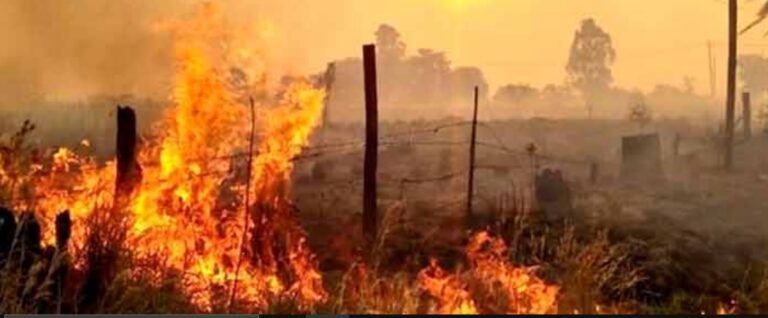 Con peligrosidad extrema de incendios, reiteran acentuar cuidados y anticipan cambios el lunes venidero imagen-19