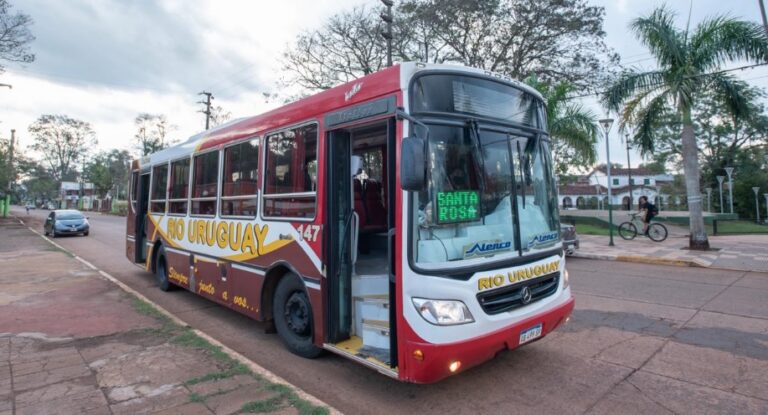 En Iguazú, desde la Cámara de Comercio dicen que el transporte es deficiente imagen-12