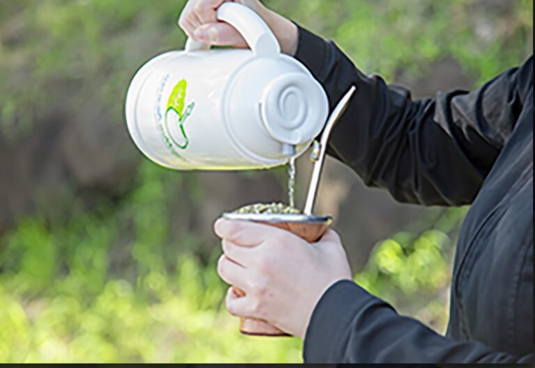 Récord histórico: la yerba mate confirmó su buen momento y el consumo superó los 325 millones de kilos en 2023 imagen-2