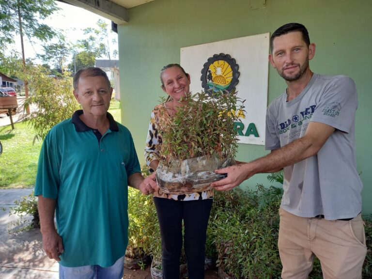 Con entrega de plantines de eucalipto y capacitación técnica a productores fortalecen la industria forestal misionera imagen-17