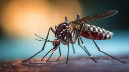 Brote histórico de dengue en Argentina: ya son 106 los muertos y se registran más de 151 mil casos imagen-3
