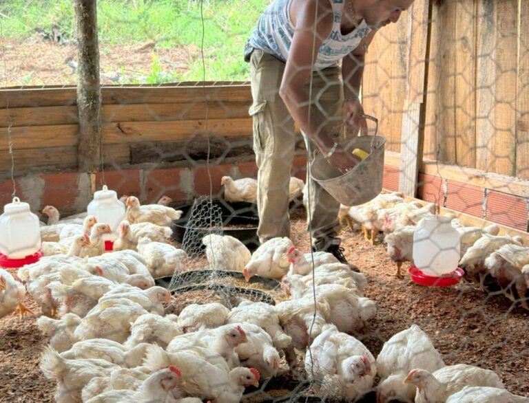 "La producción popular de alimentos sanos y la soberanía alimentaria son políticas básicas para el buen vivir del pueblo" imagen-41