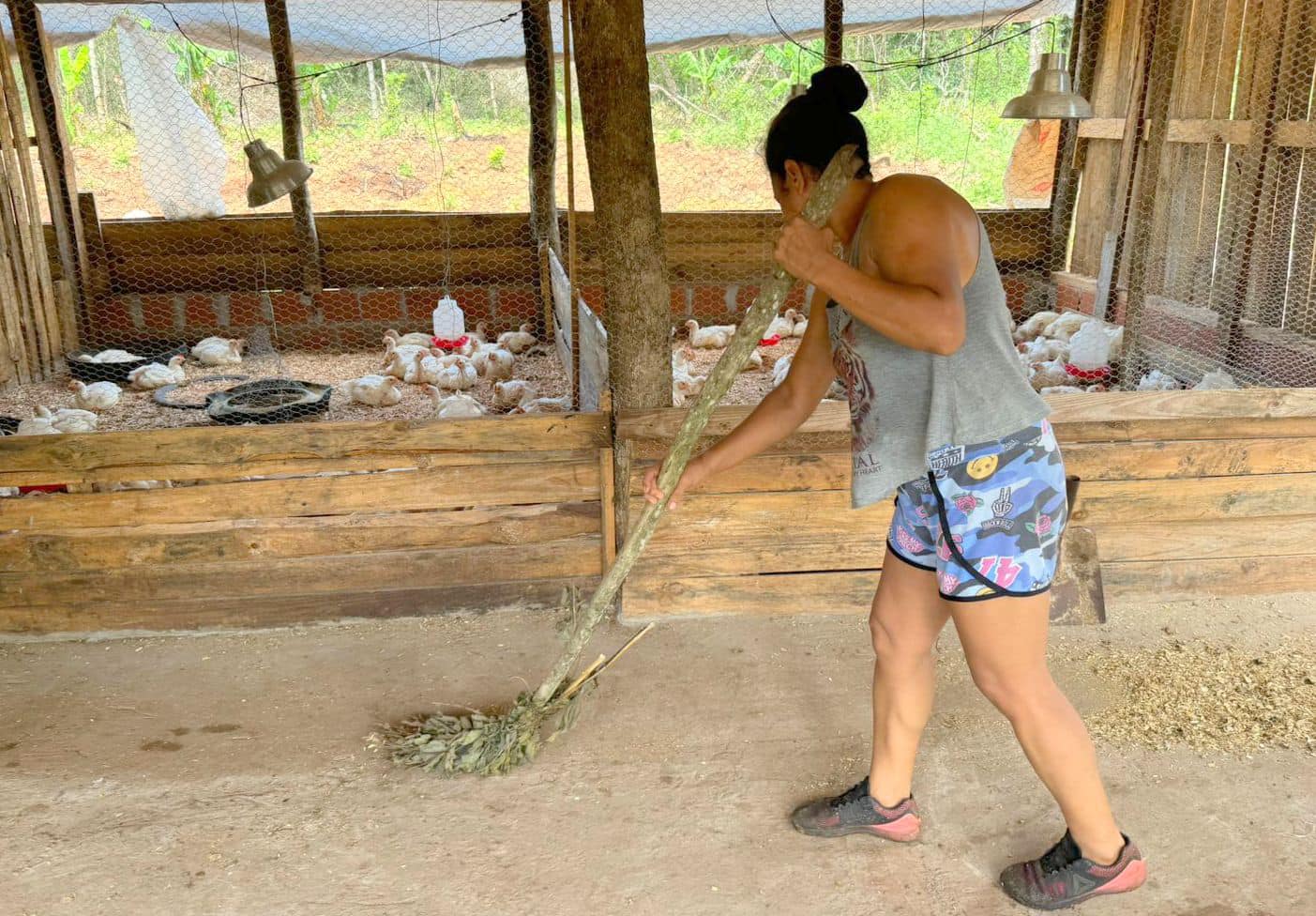 "La producción popular de alimentos sanos y la soberanía alimentaria son políticas básicas para el buen vivir del pueblo" imagen-14