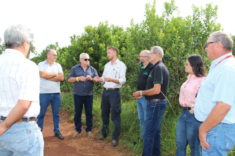 Jornada de integración de la Federación Internacional de Productores con recorrido por plantaciones, secadero y molino yerbatero apostoleño imagen-10