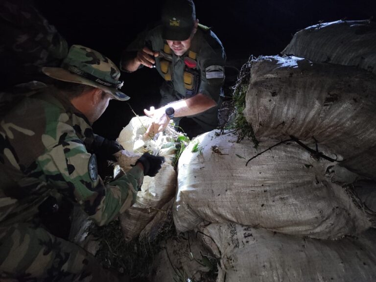 Acopiaban más de una tonelada de marihuana en las costas del río Paraná imagen-28