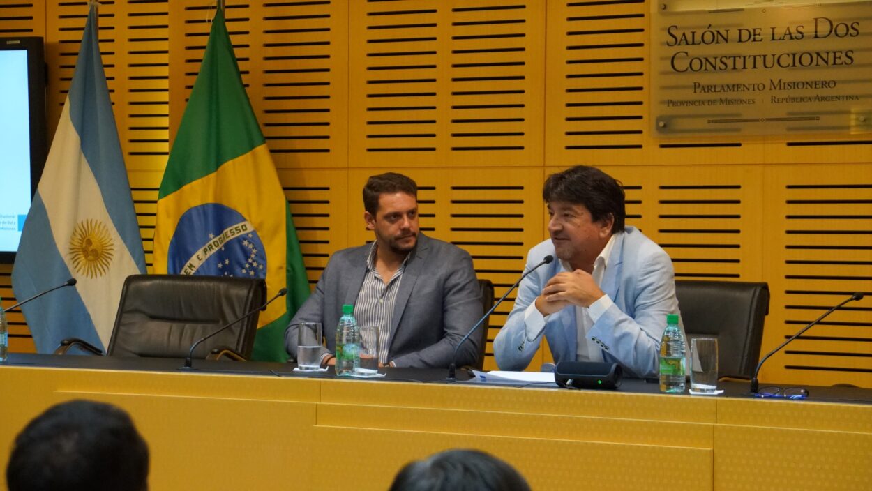 Legisladores brasileños elogiaron al Estado misionero por el trabajo conjunto de los Poderes para el desarrollo estratégico territorial imagen-4