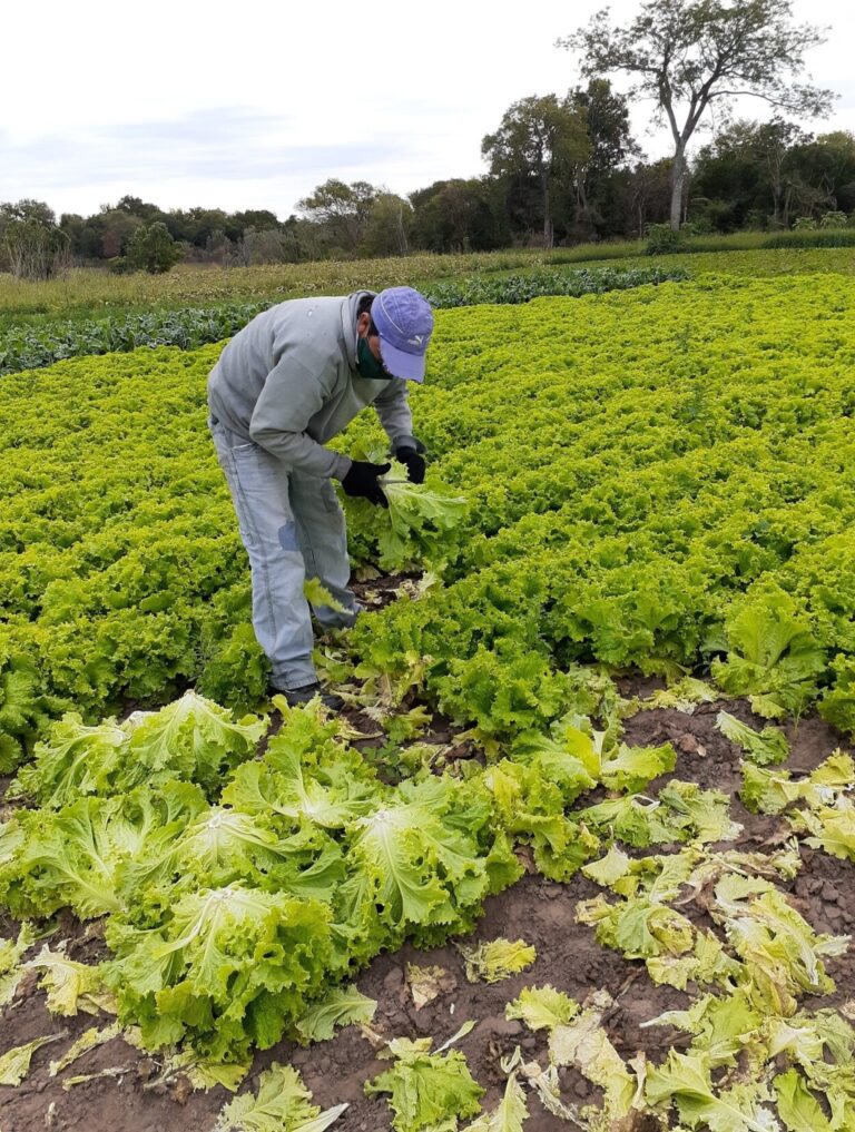 El Frente Agrario del Movimiento Evita rechaza el cierre del Inafci y el despido de trabajadores imagen-8