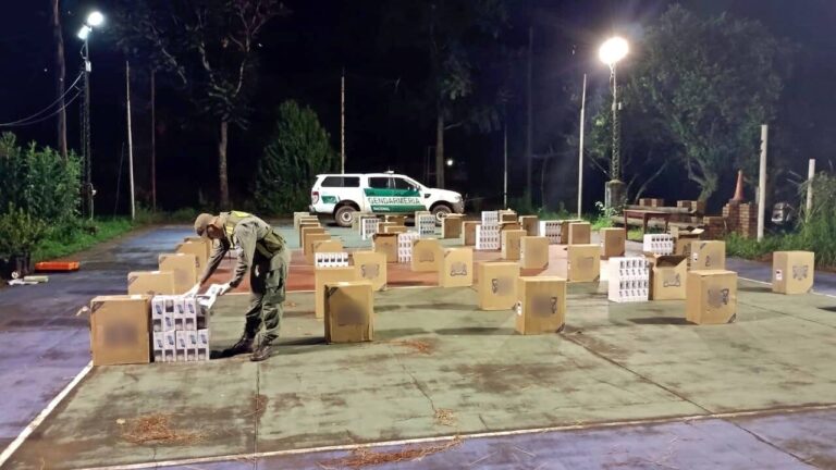 La Gendarmería secuestró 25.000 paquetes de cigarrillos, introducidos al país en forma ilegal imagen-17