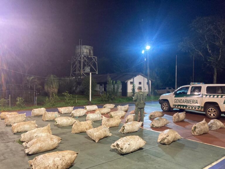 Incautan un cargamento de más de 640 kilos de marihuana cerca de Piray imagen-43