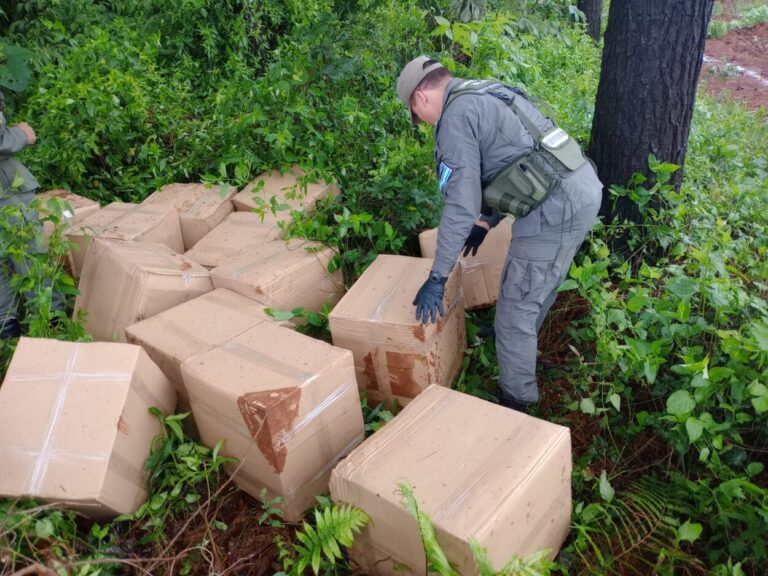 "19 Cajas": secuestran casi 280 kilos de marihuana imagen-9