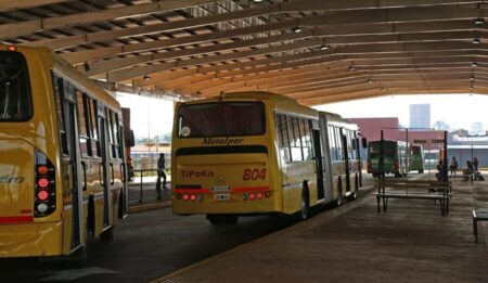 La Municipalidad de Posadas asegura un servicio normal de transporte público para el inicio del ciclo lectivo 2024 imagen-13