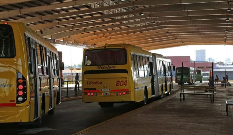 La Municipalidad de Posadas asegura un servicio normal de transporte público para el inicio del ciclo lectivo 2024 imagen-23