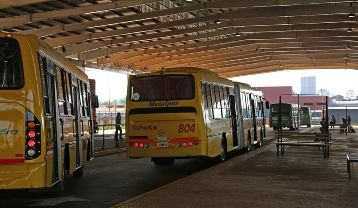 La Municipalidad de Posadas asegura un servicio normal de transporte público para el inicio del ciclo lectivo 2024 imagen-10