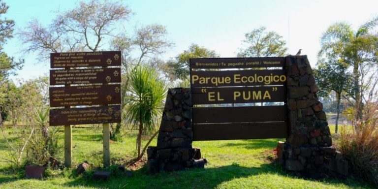 Parque El Puma: El Gobierno está invirtiendo en una nueva zona de cuarentena y una nueva clínica imagen-38