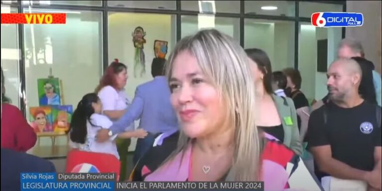 "Muchas de las leyes que tenemos hoy en Misiones fueron proyectos presentados en ediciones anteriores del Parlamento de la Mujer" imagen-15