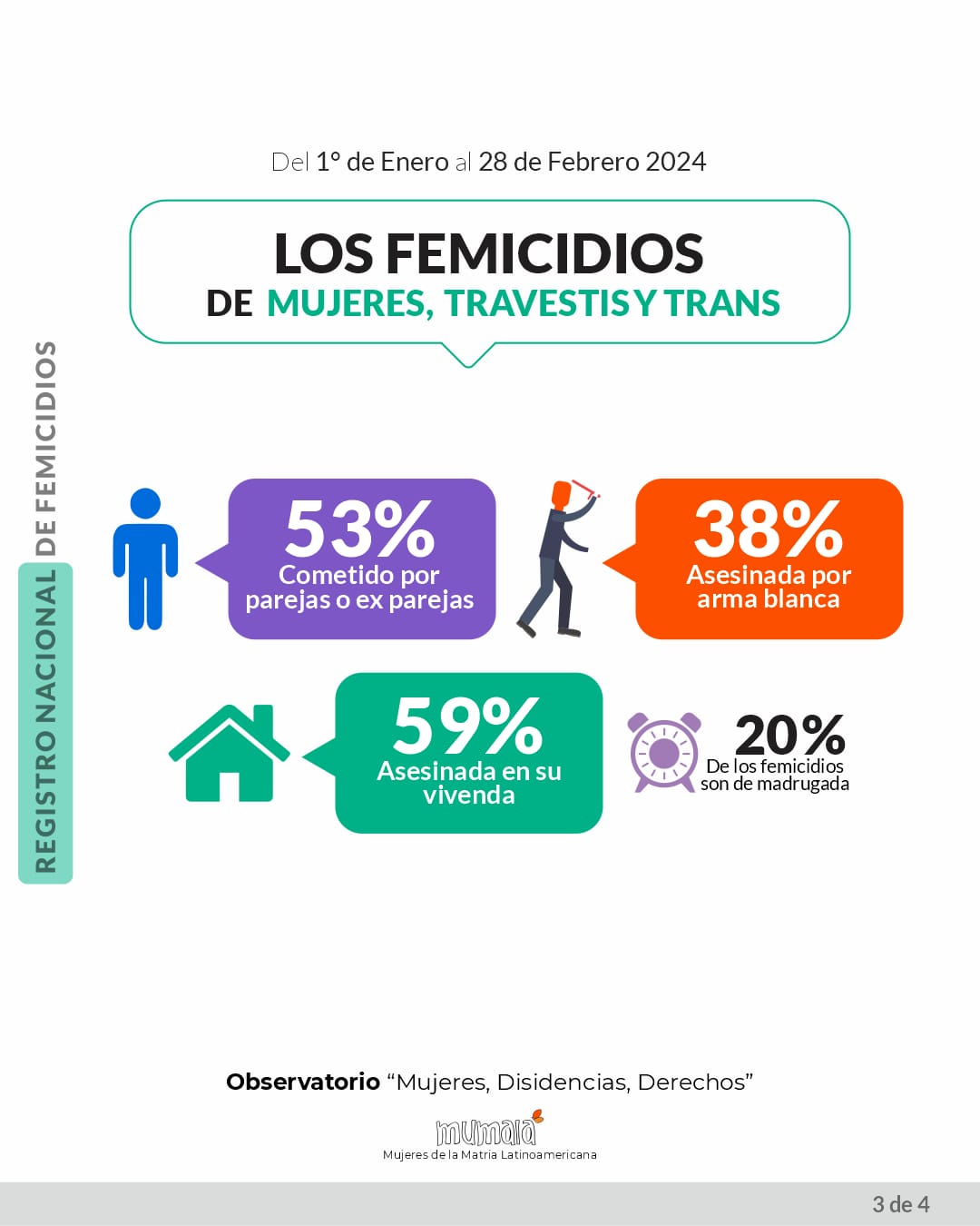 Argentina registró 53 femicidios y 92 intentos de asesinato por odio de género según el Observatorio Mumalá imagen-7
