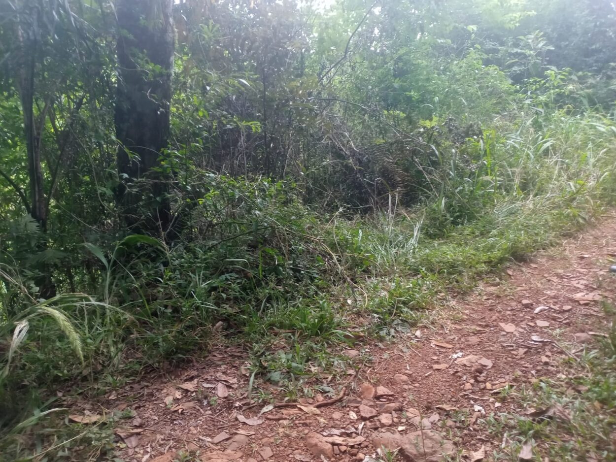 Padre e hijo fueron baleados en Comandante Andresito, el joven murió imagen-2