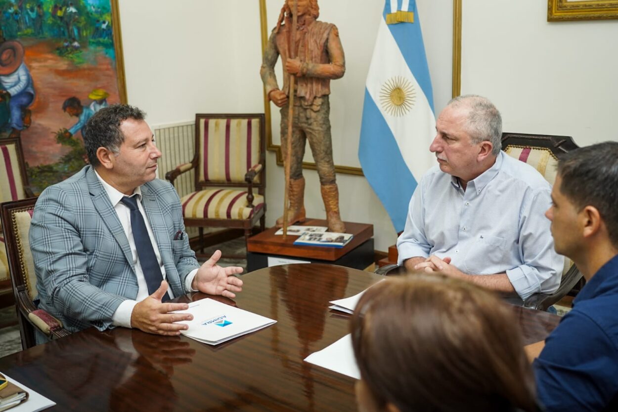 El Gobernador Passalacqua recibió a la Asociación de Industriales Metalúrgicos de la Argentina imagen-6