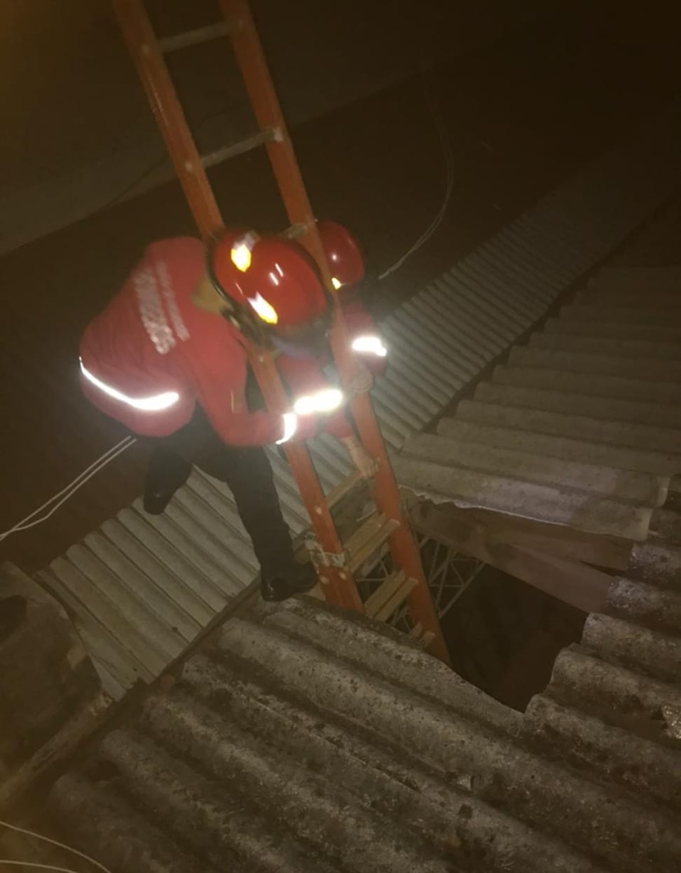 Intentó socorrer a un gato y cayó desde el techo de un depósito comercial, terminó hospitalizado imagen-2