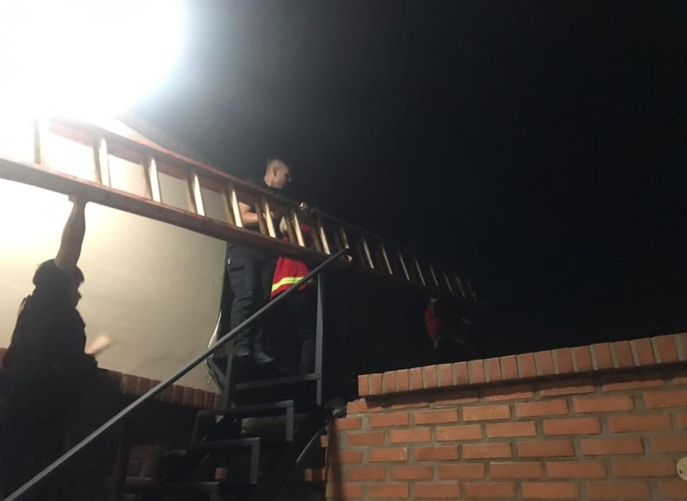 Intentó socorrer a un gato y cayó desde el techo de un depósito comercial, terminó hospitalizado imagen-4