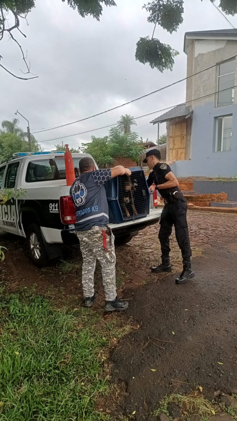 Rescatan a un animal atado y abandonado en un baldío imagen-23