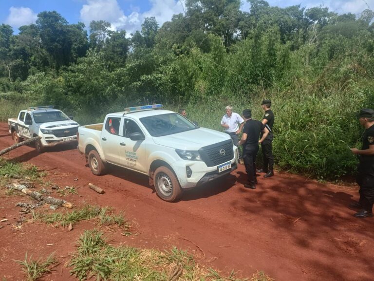 Investigan rozado ilegal en una propiedad privada de Pozo Azul imagen-49