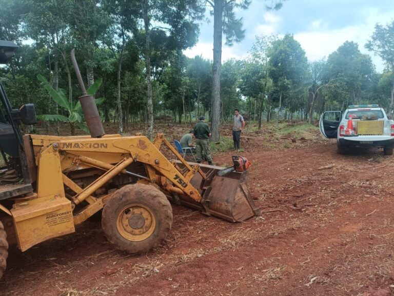 Guardabosques sorprendieron a un grupo de personas talando monte nativo en Oberá imagen-7