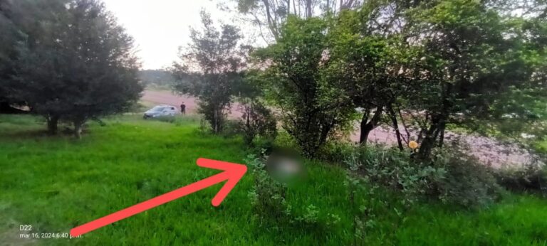 Hallaron el cuerpo de un hombre sin vida en San Vicente imagen-5