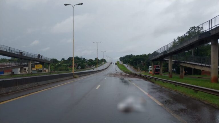 Garupá: Investigan la muerte de un joven sobre la ruta 12, se habría arrojado al paso de un camión imagen-25