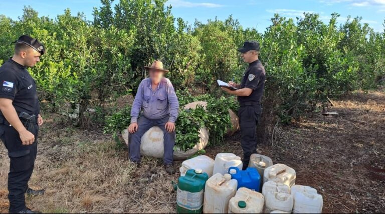 Evitan que delincuentes trasladaran raídos de yerba que pretendían robar de una chacra imagen-28