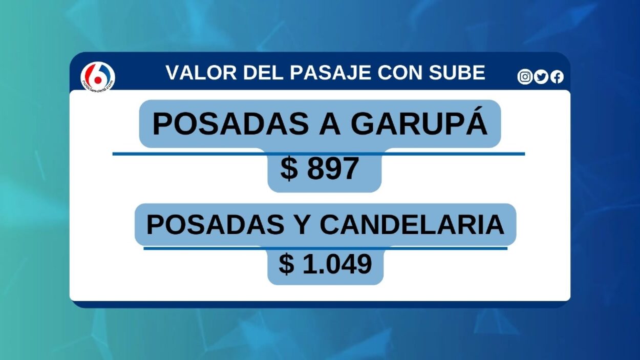 Pasaje urbano: "Estamos en un valor relativamente similar a lo que está en todo el país en el transporte público", señalan imagen-2