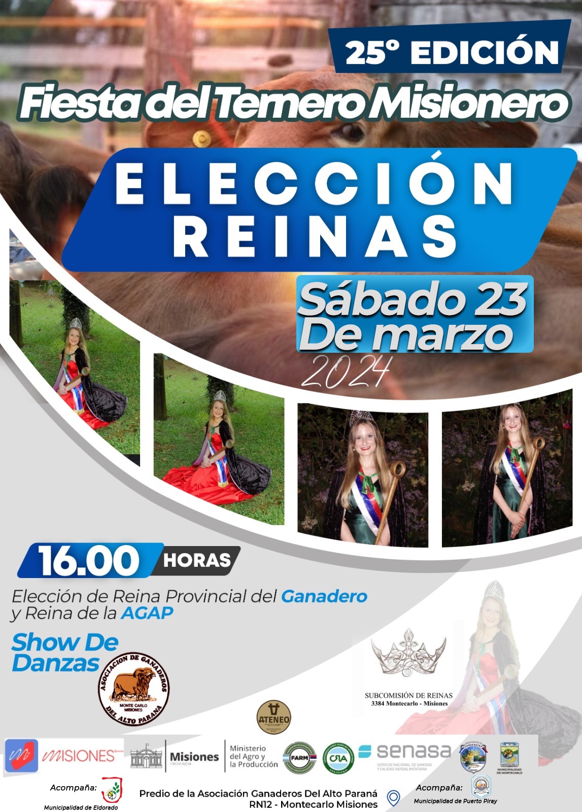 Ya llega la 25ta Fiesta del Ternero Misionero en Montecarlo imagen-4