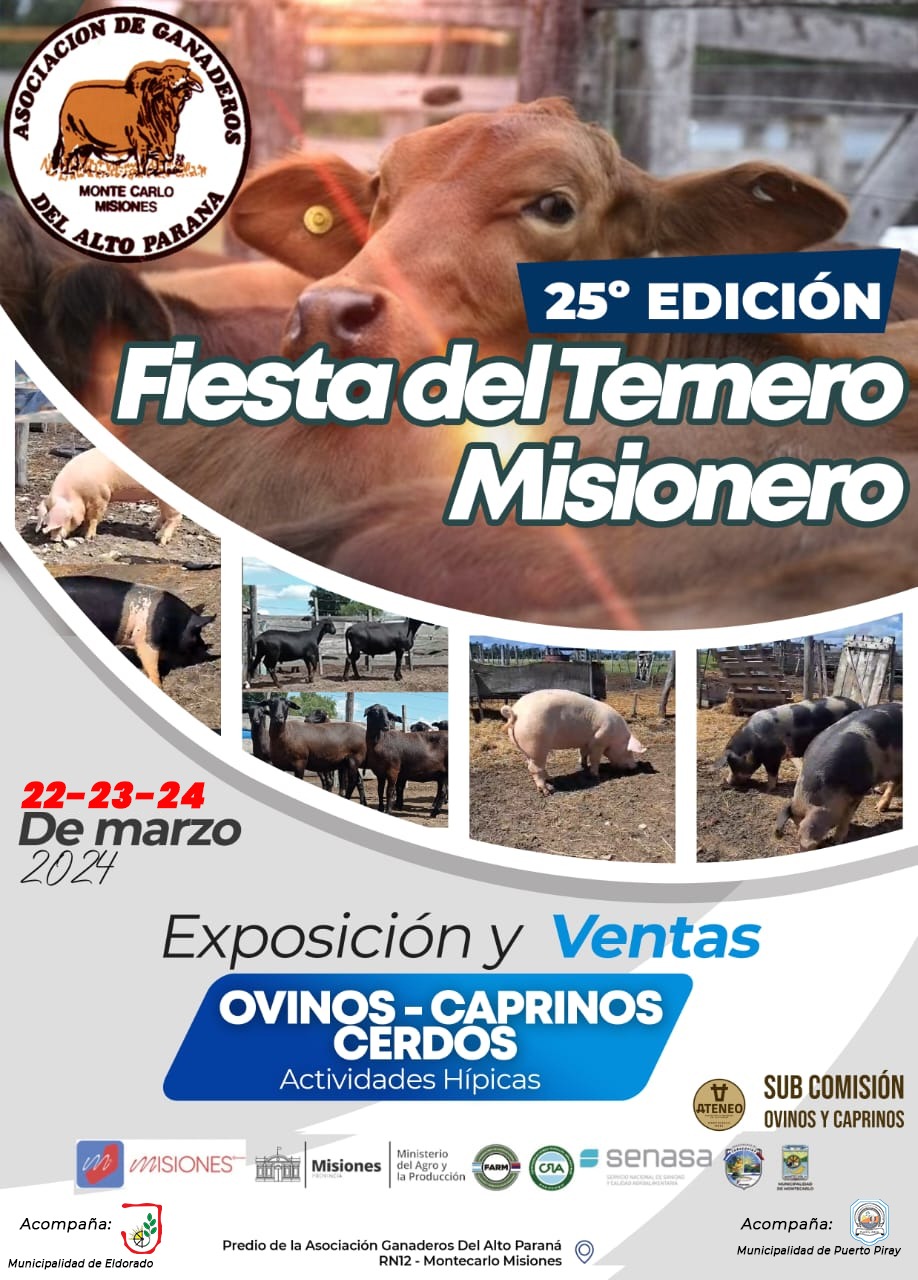 Ya llega la 25ta Fiesta del Ternero Misionero en Montecarlo imagen-6