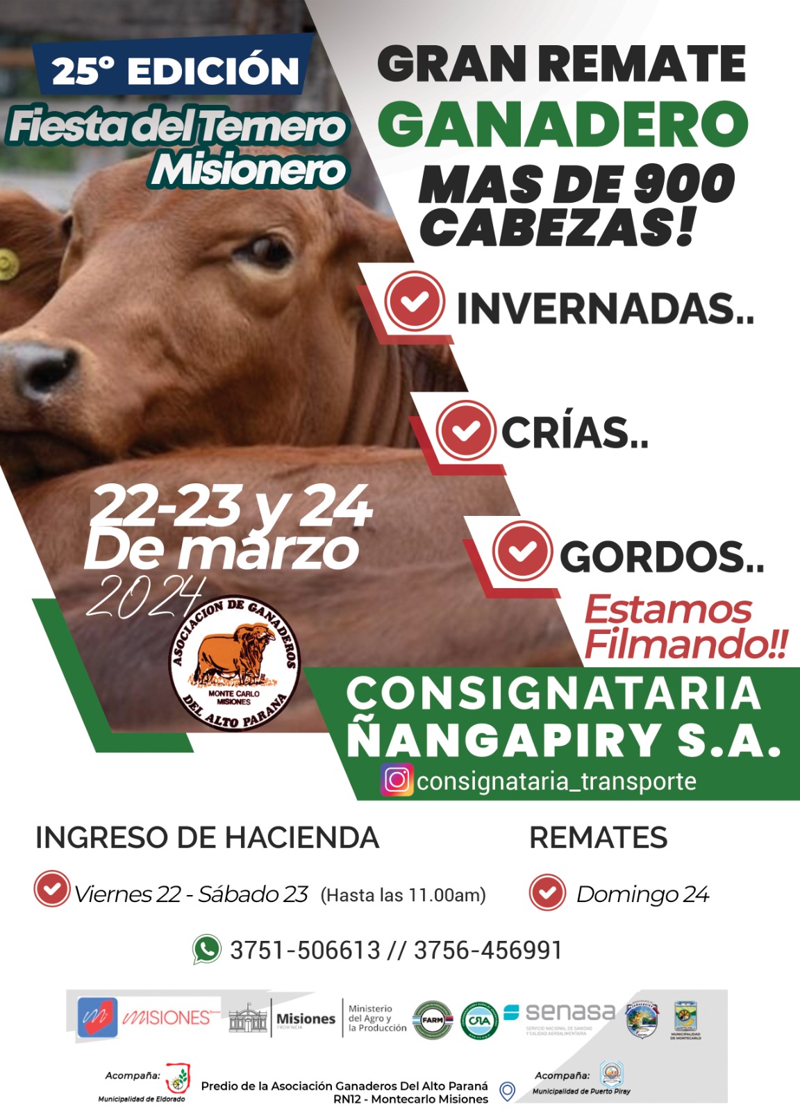 Ya llega la 25ta Fiesta del Ternero Misionero en Montecarlo imagen-2