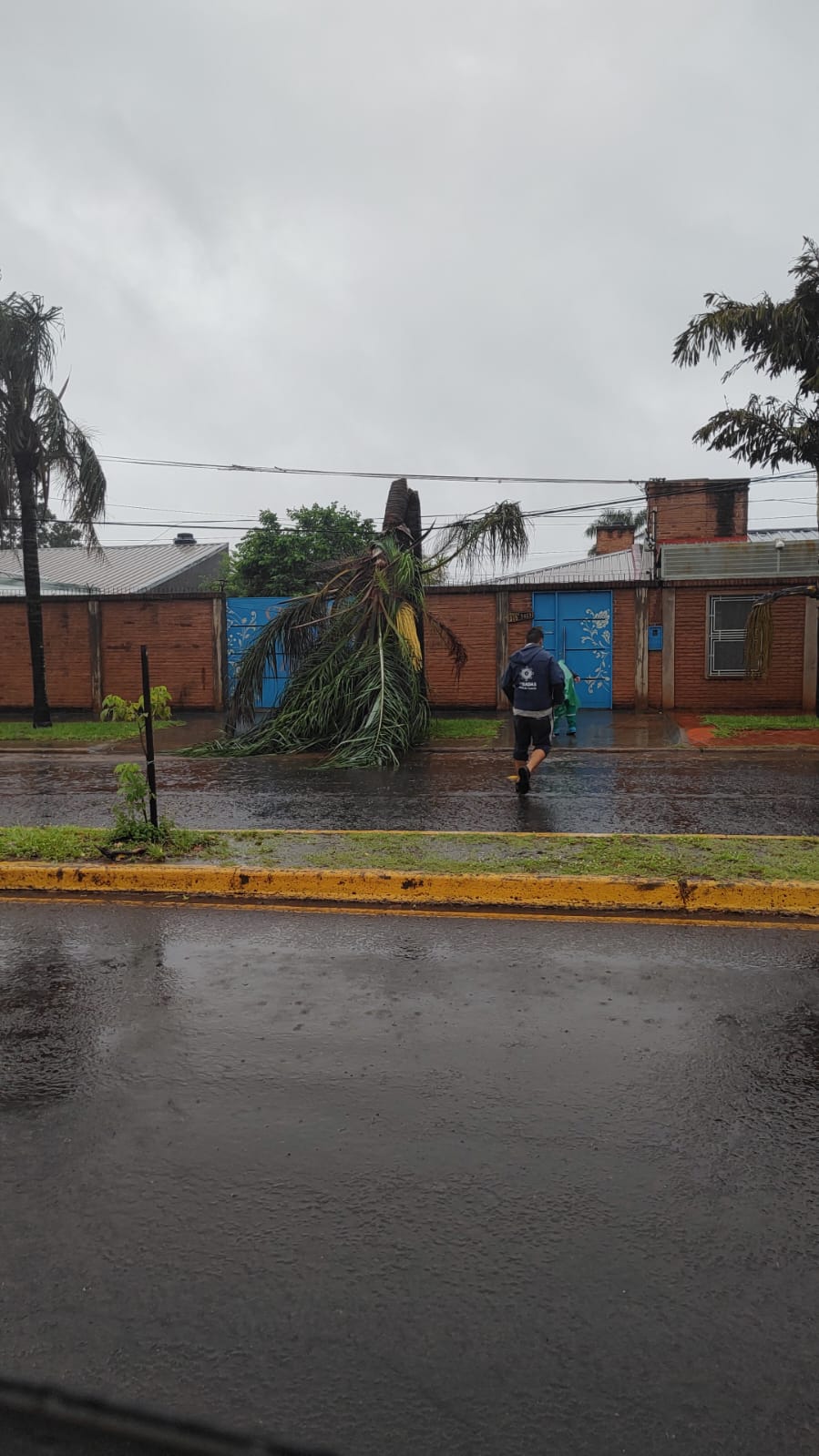 Comuna posadeña activa operativo de emergencia por el temporal imagen-6