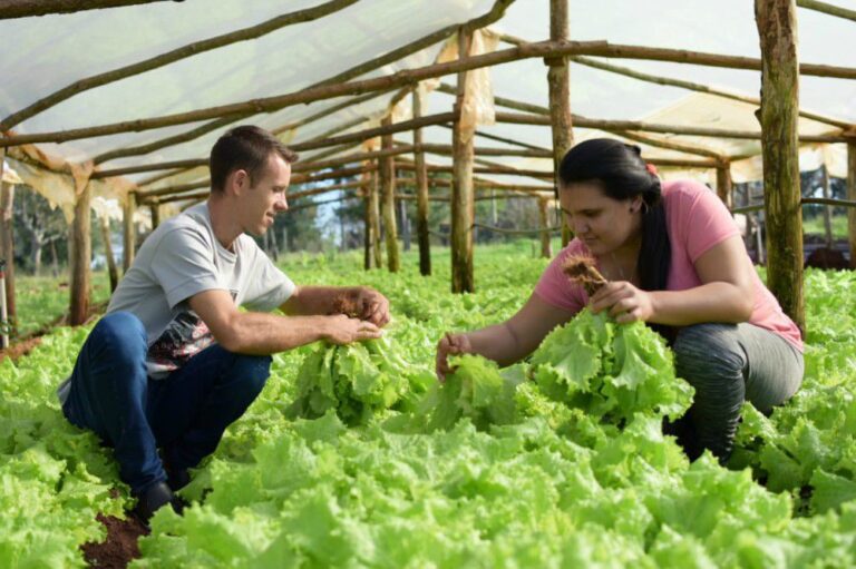 El gen de la revolución agroecológica imagen-3