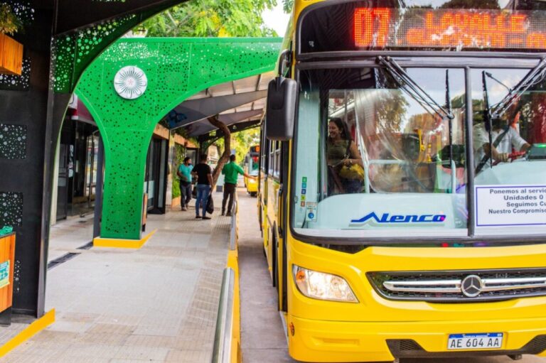 Se adjudicaron seis líneas del Sistema Integrado de Transporte Urbano y Metropolitano imagen-18