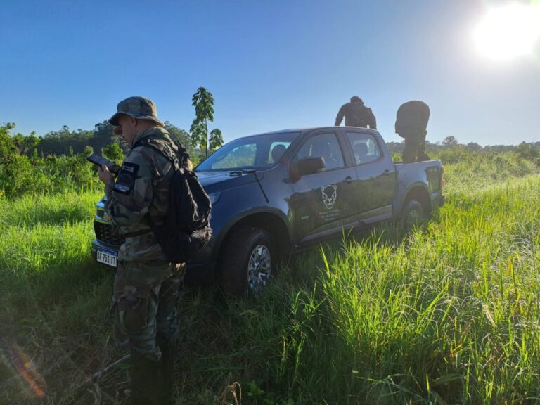 Destruyen estructuras de cazadores halladas en el Parque Provincial Urugua-í imagen-45