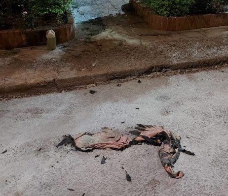 Montecarlo: un hombre se roció con combustible y luego se prendió fuego, murió en el Hospital imagen-8