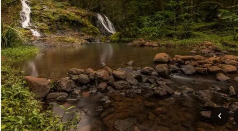 Por el Día Mundial del Agua, Ecología y el IMiBio realizan una jornada de concientización imagen-41