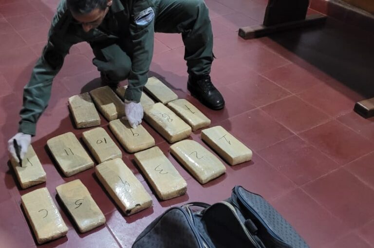 Decomisan 14 kilos de marihuana en dos procedimientos imagen-26