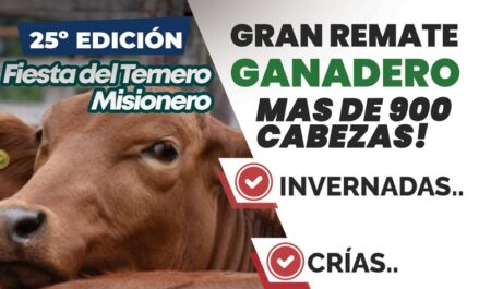 Ya llega la 25ta Fiesta del Ternero Misionero en Montecarlo Ya llega la 25ta Fiesta del Ternero Misionero en Montecarlo imagen-1